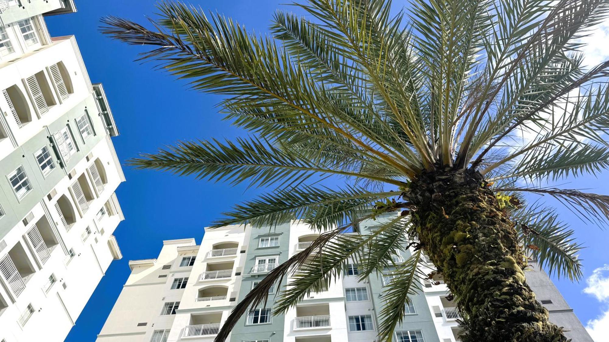 The Point Hotel & Suites Universal Orlando Dış mekan fotoğraf